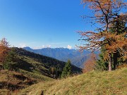 PIZZO BADILE (2044 m) ad anello colorato d’autunno da Piazzatorre-28ott24- FOTOGALLERY